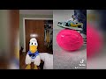 Donald Ducc Reacts To Satisfying TikToks 6 DO NOT SMILE OR LAUGH DonaldDucc