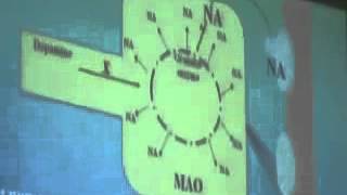 Dr Mohsen CVS 7 15 12 2014