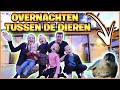 OVERNACHTEN TUSSEN DE WiLDE DiEREN ? | Bellinga Vlog #2730