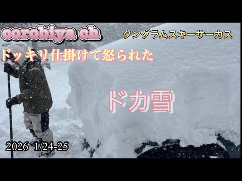 ホテルの部屋から鈴の音⁈タングラムスキーサーカス