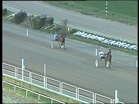 Trotto 26/02/2016 - prova di qualifica