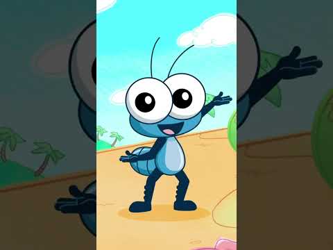 Caranguejo Não É Peixe | Bob Zoom