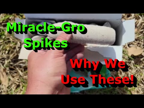 Why We Use These Miracle-Gro Tree & Shrub Plant Food Spikes