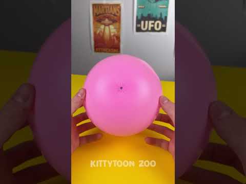 My Brother Made Me a 🐰 Bunny Roly Poly! 🎭✨