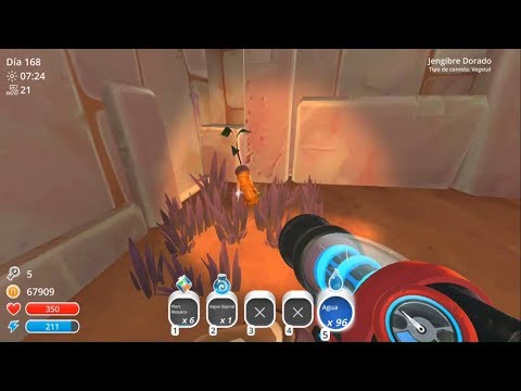 Locations of Gilded Ginger on Slime Rancher??