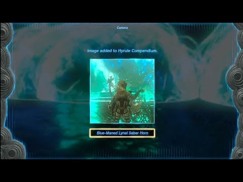 Lore Accurate Link Is Actually The Demon Of Hyrule