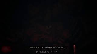 世界一怖いホラゲー配信【Visage】