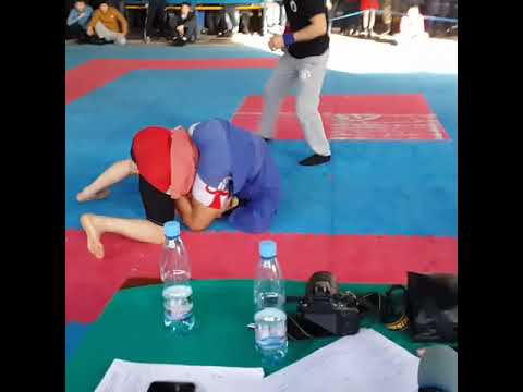 VID 20811203 100400