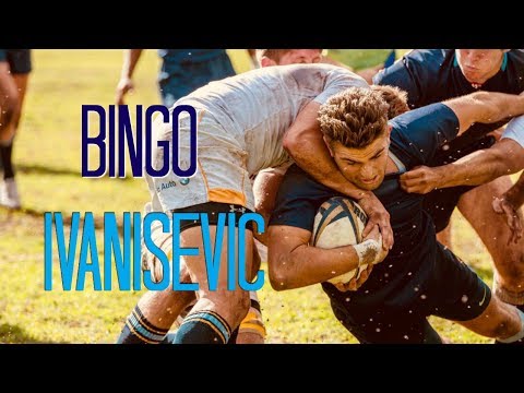 Bingo Ivanisevic || Remember the Name Series