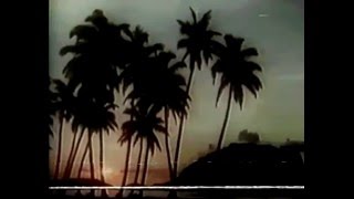 Under Two Palms - 意識的な思考