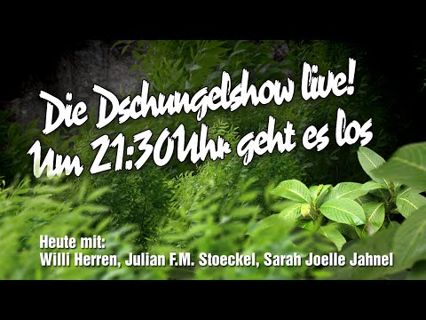 Die große BILD-Dschungelshow im Live-Stream - 18.01.2016
