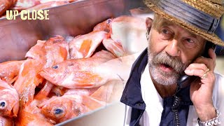 The Billion Dollar New Fulton Fish Market in New York | World's Greate
