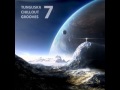 Tunguska Electronic Music Society - Tunguska ...