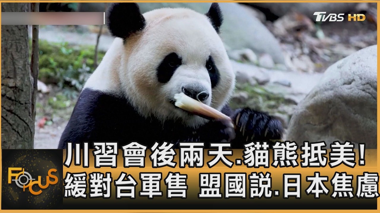 FOCUS全球新聞／川習會後兩天.貓熊抵美！緩對台軍售　盟國說.日本焦慮