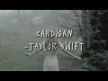 taylor swift- cardigan (sped-up)+[lyrics]