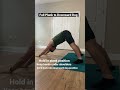 Full Plank To Downward Dog