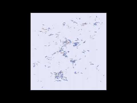 Ulla - Feeling Remembering (2020)