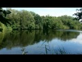 M. Georg Whitehead his Almand - John Dowland