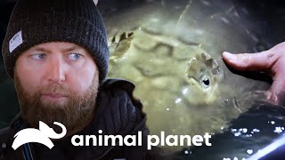 Thumbnail del capítulo