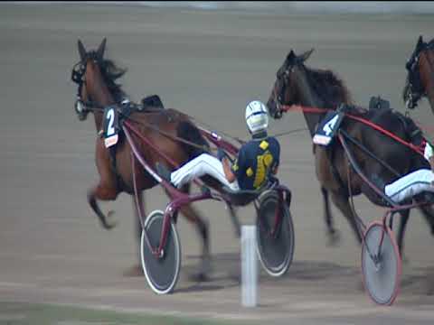 Trotto 23/09/2018 - 10ª corsa