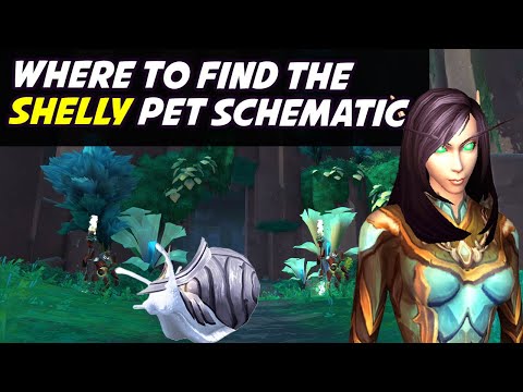 Shelly Location (Pet Schematic)