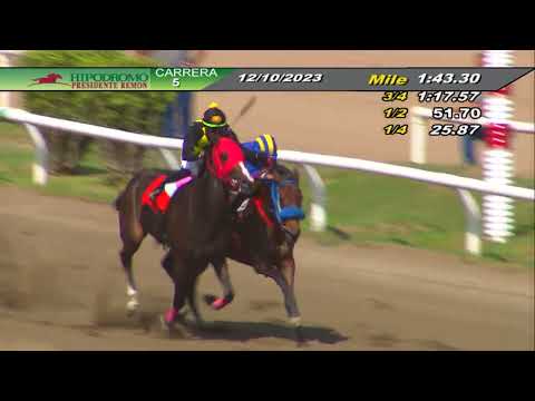 TEQUILA - Copa Dama Del Caribe 2023