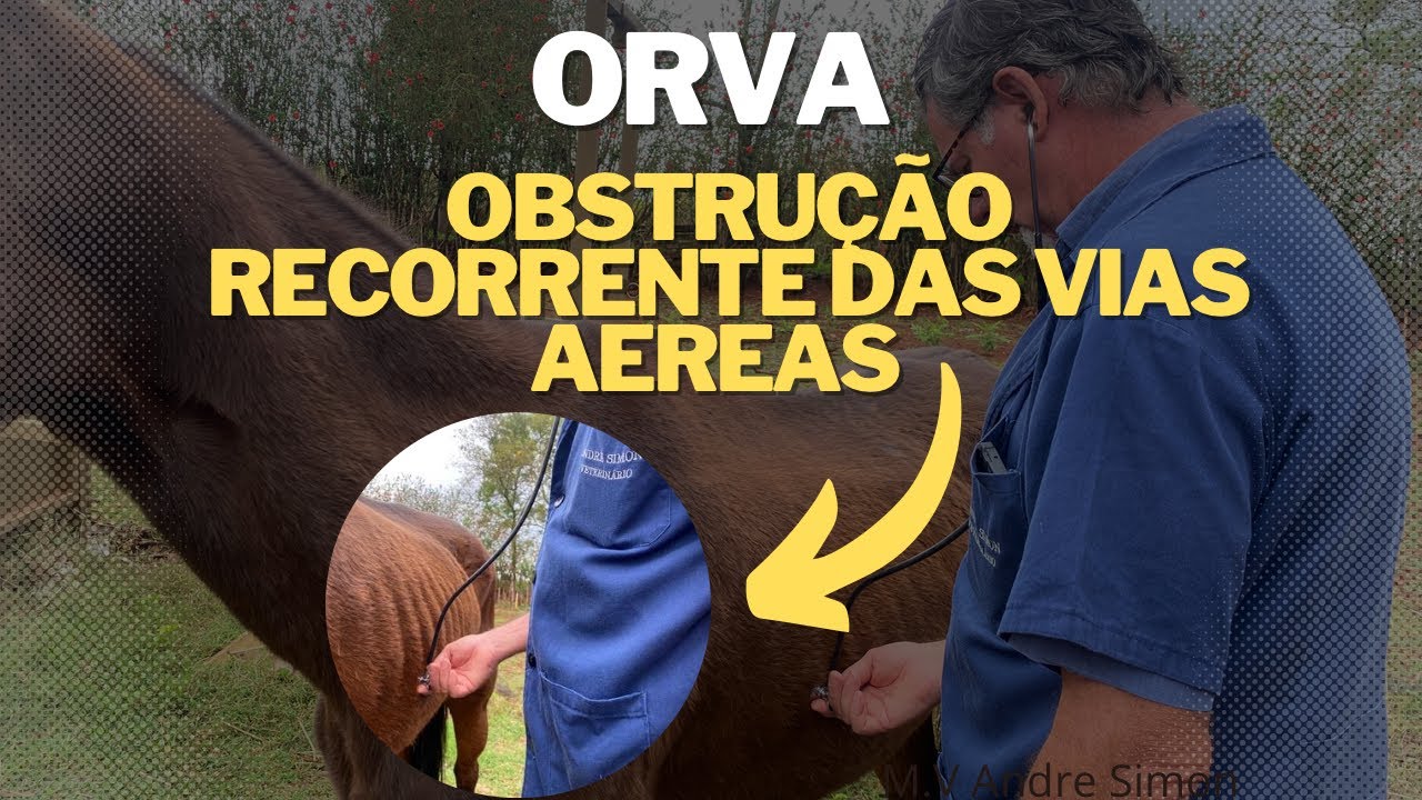 ORVA ou DPOC, doença pulmonar crônica em égua! Vem ver!