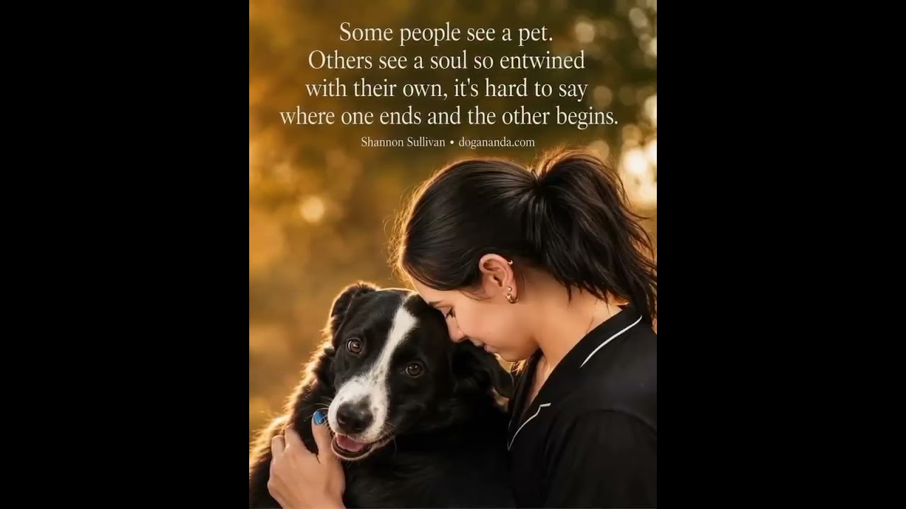 Penny Two, a ADOPTABLE mixed breed in Mount Holly, NJ video 6/6