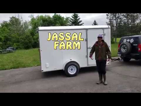 Carry on 6x12 CGR Enclosed Trailer Walk-through! (4K)