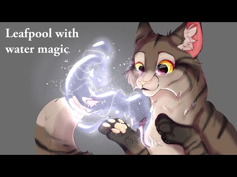 What if Warrior Cats had Magic?