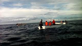 preview picture of video 'Dolphin trip in Zanzibar'
