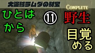 ゼルダの伝説 ブレス オブ ザ ワイルドなのでワイルド（上裸）に実況プレイ⑪/Nintendo Switch