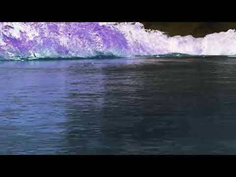 TXAI BAND: NAI MÃPU YUBUKÃ (MÍSTICA SAMANY, Luizga e Paulo Novaes) - Visualizer Oficial