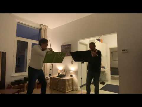 Marc Danel and Gilles Millet: Selection from Béla Bartók's 44 Duos for Two Violins (20-30)