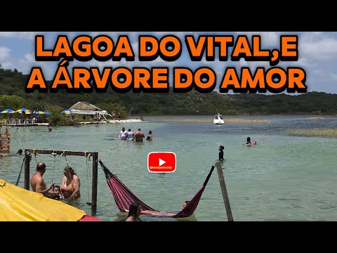ÁRVORE DO AMOR, E LAGOA DO VITAL,BARRA DE MAXARANGUAPE LITORAL NORTE RN 