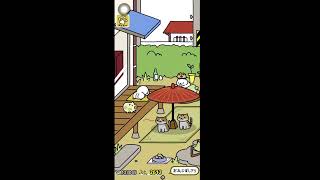 【ねこあつめ２雑談配信】　すけさんラジオ　＃48