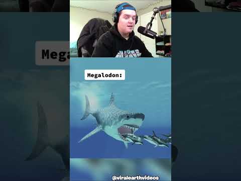 Extinct Animals Caught on Camera 😨