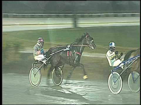 Trotto 13/01/2017 - 4ª corsa