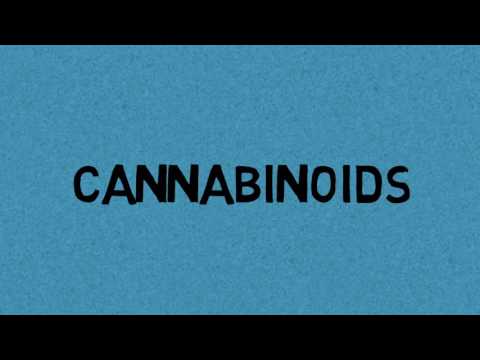 Marijuana & Cannabis Benefits Video