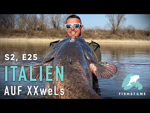 S2E25 - Monsterjäger vom Po - FISHSTONE's Angelwelten