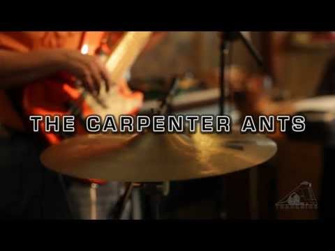 God's Got A Plan - The Carpenter Ants, Live at Trackside