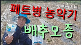 페트병으로 가을배추 농약방제하기 Controlling Autumn Cabbage Pesticides with…
