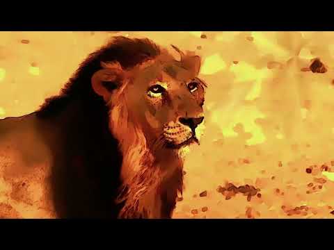 Don Goliath - Affi Praise Di King (ft Jr Tiger) (Jungle Mix) (Official Music Video)