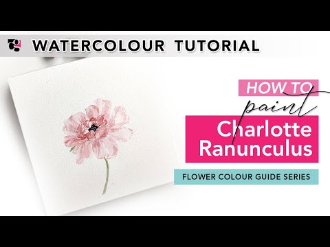 How to Paint a Charlotte Ranunculus in Watercolour - Flower Colour Guide Book Series
