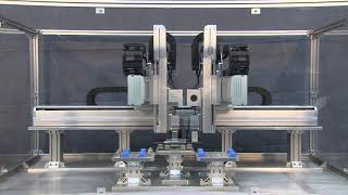 Double arm Cartesian robot YAMAHA ROBOT