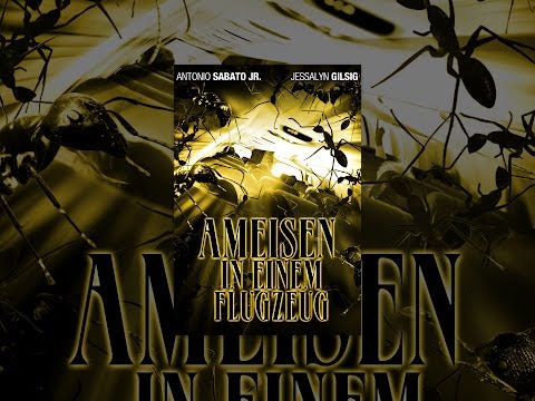 Ameisen in einem Flugzeug