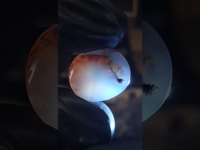 حجر عقيق مصور مزهر طبيعي