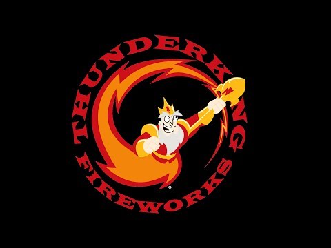 PFX5202 25 Shot Zipper Silver Mag Comets