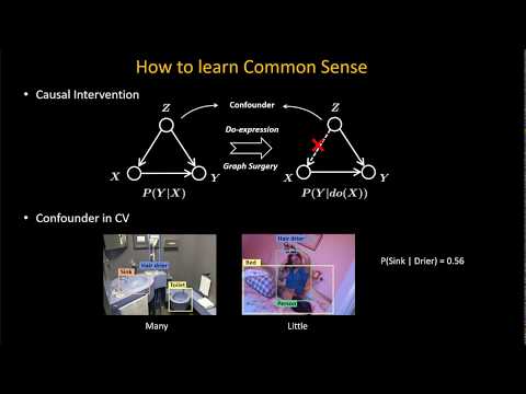 5 mins spotlight: Visual Commonsense Representation Learning via Causal Inference