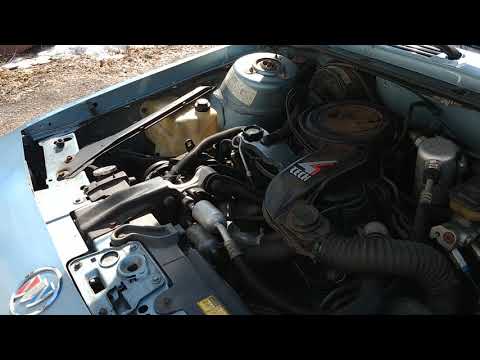 1986 Buick Century Parts Car.